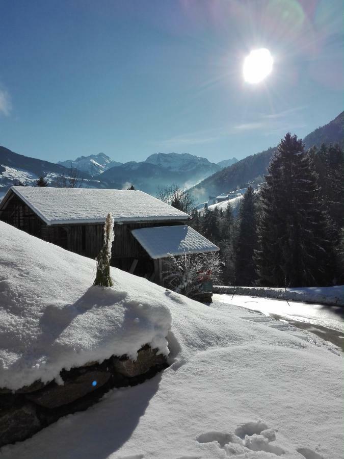 Aschau Im Zillertal Apart Gerlossteinblick מראה חיצוני תמונה