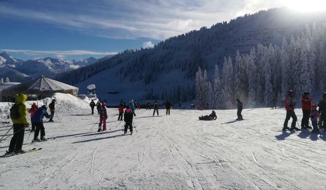Aschau Im Zillertal Apart Gerlossteinblick מראה חיצוני תמונה