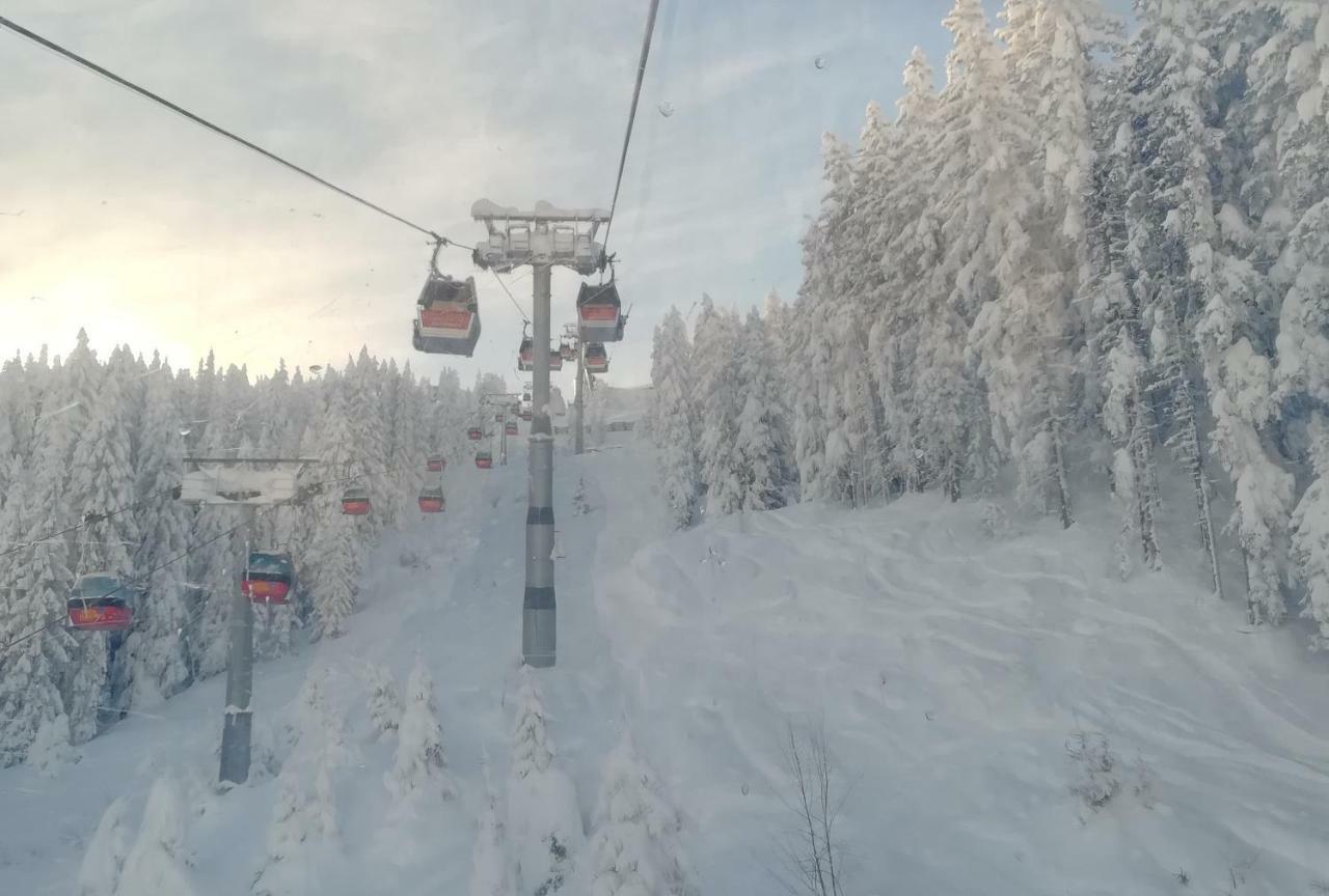 Aschau Im Zillertal Apart Gerlossteinblick מראה חיצוני תמונה